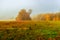 Autumnal nature panoramic image of a foggy rural countryside with fall foliage