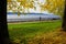 Autumnal nature, woman doing nordic walking