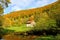 Autumnal painted forest with creek and cabin