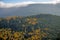 Autumnal painted forest of the Vosges, Alsace, France