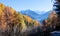 Autumnal Panorama with colourful leaves and mountains