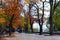 Autumnal park with promenade path and big trees