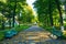 Autumnal park with promenade path big trees and benches