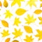 Autumnal pattern with fall yellow leaves isolated on white background. Flat lay