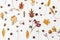 Autumnal pattern with natural forest details, flat lay. Autumn leaves, berries, acorns, walnuts, cinnamon and anise on white