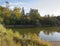 Autumnal pond, tranquil scenery