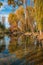 Autumnal reflection of the trees in the little lake, Umbria