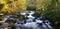 Autumnal River Scenery Dartmoor Devon