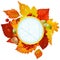 Autumnal round frame with fall leaf, chestnut, aco