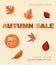 Autumnal  sale with colored leaves.