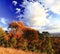 Autumnal Scenery of Lake Burley Griffin shore