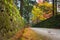 Autumnal scenery of Nikko national park