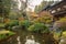 Autumnal scenery of Nikko national park