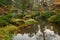 Autumnal scenery of Nikko national park