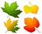 Autumnal seamless background with leaves.