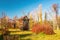 Autumnal Serenity: Wooden Windmill in Rural Landscape