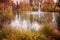 Autumnal spa garden with pond and fountain