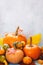 Autumnal still life with edible and ornamental pumpkins, gourds and foliage