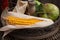 Autumnal stilllife with corn cob and apple