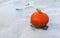 Autumnal subject image with close up of ripe pumpkin and bunch of rowan berry