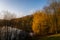 Autumnal sunlight at Deep Hayes Country Park in Staffordshire