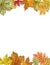 Autumnal Template with Colorful Leaves on Top and Bottom