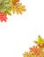 Autumnal Template w/Colorful Leaves on Corners.