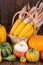 Autumnal Thanksgiving motive with a basket full with corn cobs and different colorful pumpkins