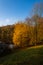 Autumnal tree colours at Deep Hayes Country Park in Staffordshire