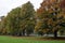 Autumnal Trees, Bishops Meadow, Hereford, Herefordshire, UK