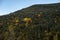 An autumnal valley with orange, yellow and green trees