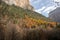 An autumnal valley with orange, yellow and green trees