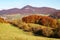 Autumnal view of strazov mount in strazovske vrchy