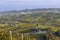 autumnal vineyards, Piedmont, Italy