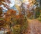 Autumnal walkway along lake Laudachsee, katzenstein mountain, austrian alps