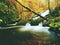 Autumnal waterfall on mountain stream. Foamy water is falling over mossy boulder and corful leaves.