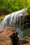 Autumnal waterfall, stone, tree and berry