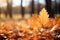 Autumns gold closeup leaves, blurred fall landscape, warm sunlight, pastel colors
