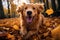 Autumns joyful spirit a golden retriever running through fallen leaves