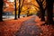 Autumns magic a park path, strewn with vivid maple leaves