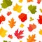 Autunm colorful leafs pattern