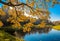 Autunm trees in the park, perfect fall scenery