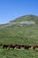 Auvergne landscape in the Sancy massif in spring in France