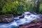 Avalanche Creek