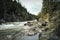 Avalanche Creek in Glacier National Park