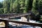 Avalanche Creek Walking Bridge Glacier Park