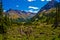 Avalanche destruction Path Next to Maroon Bells in Rocky Mountains