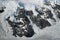 Avalanche on a glacier in the Antarctic