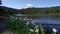 avalanche lilies growing beside reflection lake at mt rainier in washington state