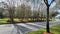 Avalon Park Florida, avenue median with flowers and grass. Photo image